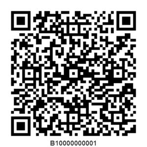 b10000000001.png