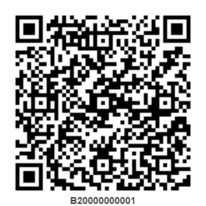b20000000001.png