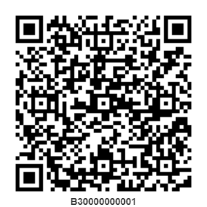 b30000000001.png